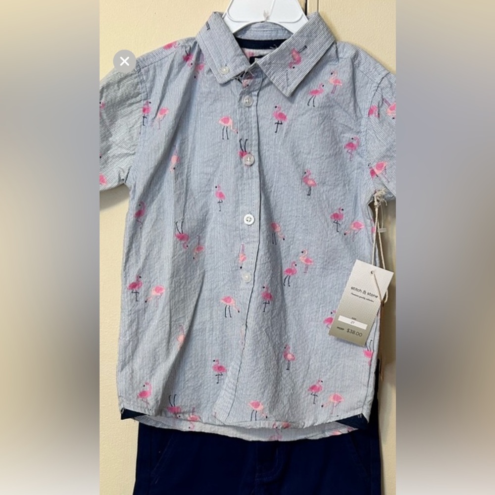 Playful Flamingo Kids Button-Down Shirt - Light Blue and Pink
